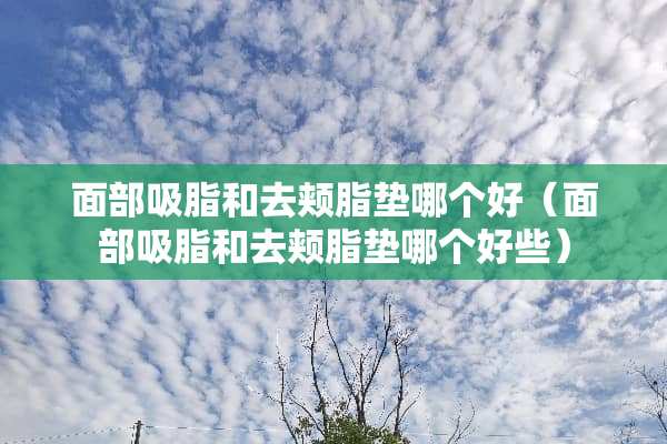 面部吸脂和去颊脂垫哪个好（面部吸脂和去颊脂垫哪个好些）