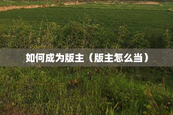 如何成为版主（版主怎么当）