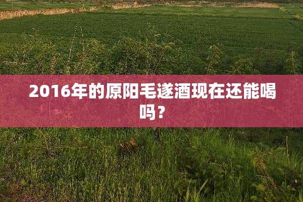 2016年的原阳毛遂酒现在还能喝吗？