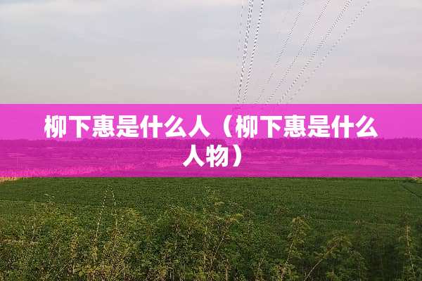 柳下惠是什么人（柳下惠是什么人物）