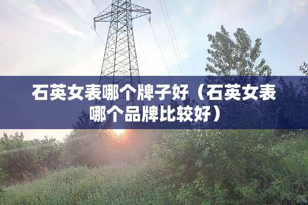 石英女表哪个牌子好（石英女表哪个品牌比较好）