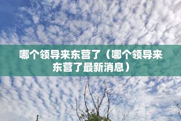 哪个领导来东营了（哪个领导来东营了最新消息）