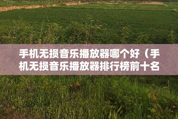 手机无损音乐播放器哪个好（手机无损音乐播放器排行榜前十名）