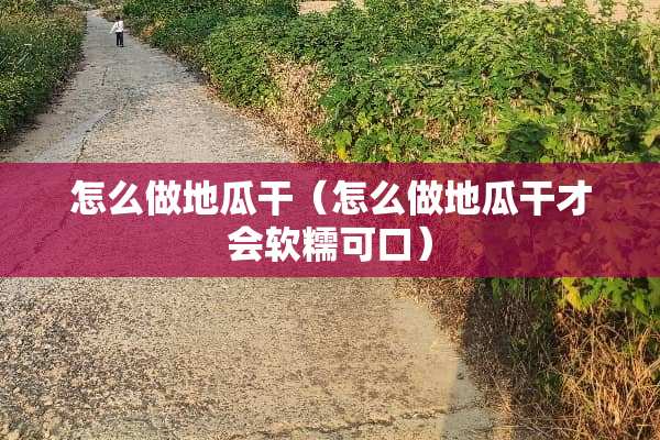 怎么做地瓜干（怎么做地瓜干才会软糯可口）