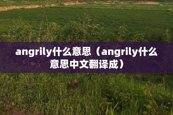 angrily什么意思（angrily什么意思中文翻译成）