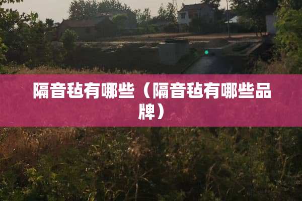 隔音毡有哪些（隔音毡有哪些品牌）
