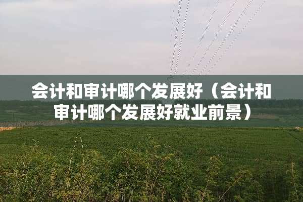 会计和审计哪个发展好（会计和审计哪个发展好就业前景）
