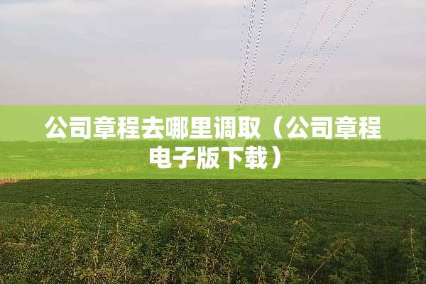 公司章程去哪里调取（公司章程电子版下载）