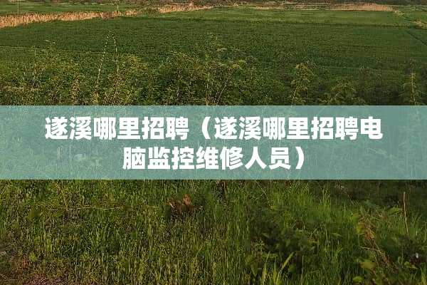遂溪哪里招聘（遂溪哪里招聘电脑监控维修人员）