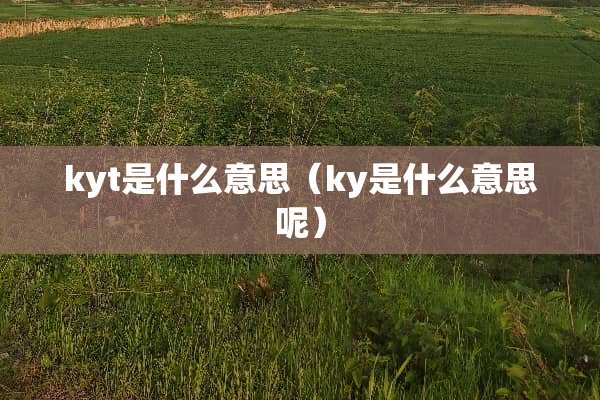 kyt是什么意思（ky是什么意思呢）