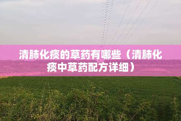 清肺化痰的草药有哪些（清肺化痰中草药配方详细）