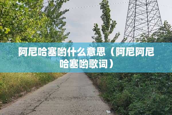 阿尼哈塞哟什么意思（阿尼阿尼哈塞哟歌词）