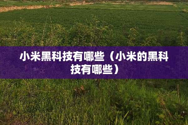 小米黑科技有哪些（小米的黑科技有哪些）