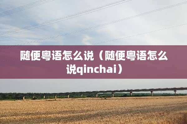 随便粤语怎么说（随便粤语怎么说qinchai）