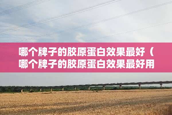 哪个牌子的胶原蛋白效果最好（哪个牌子的胶原蛋白效果最好用）