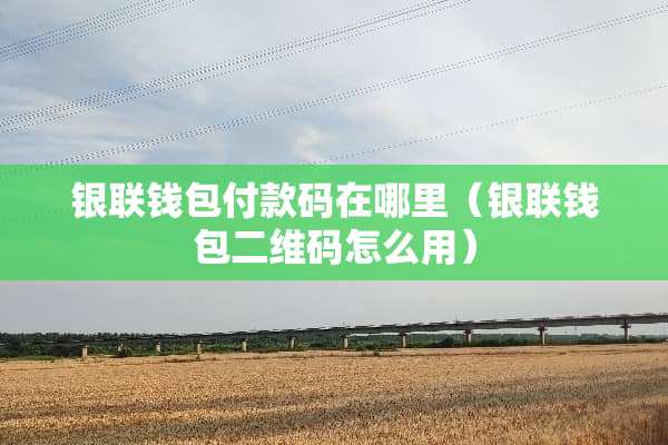 银联钱包付款码在哪里（银联钱包二维码怎么用）