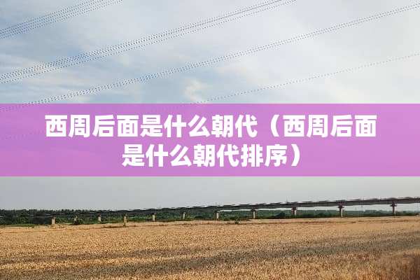 西周后面是什么朝代（西周后面是什么朝代排序）