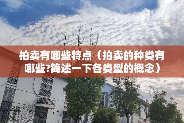 拍卖有哪些特点（拍卖的种类有哪些?简述一下各类型的概念）