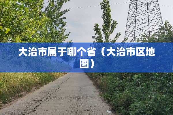 大治市属于哪个省（大治市区地图）