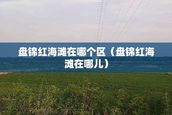 盘锦红海滩在哪个区（盘锦红海滩在哪儿）