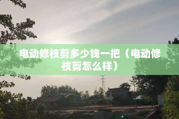 电动修枝剪多少钱一把（电动修枝剪怎么样）