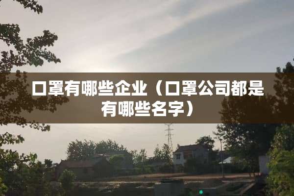 口罩有哪些企业（口罩公司都是有哪些名字）