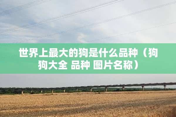 世界上最大的狗是什么品种（狗狗大全 品种 图片名称）