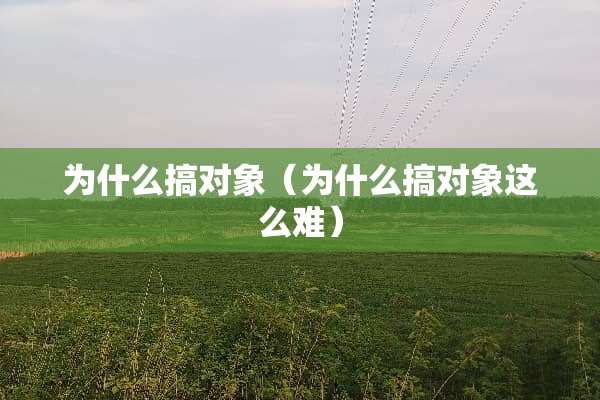 为什么搞对象（为什么搞对象这么难）