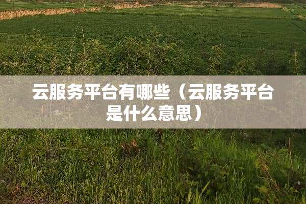 云服务平台有哪些（云服务平台是什么意思）