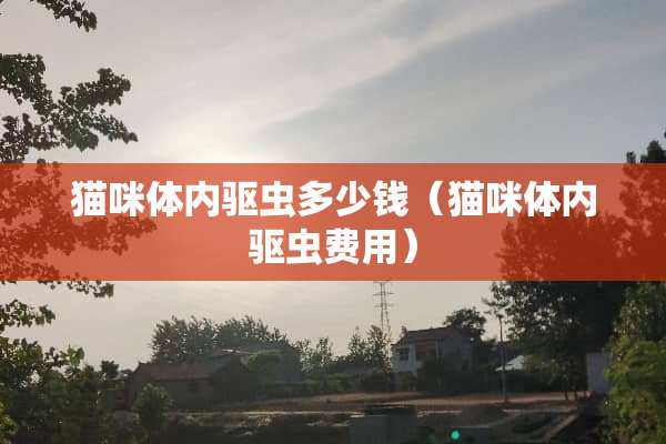猫咪体内驱虫多少钱（猫咪体内驱虫费用）