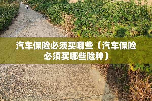 汽车保险必须买哪些（汽车保险必须买哪些险种）