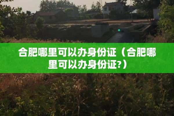 合肥哪里可以办***（合肥哪里可以办***?）