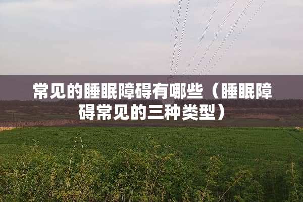 常见的睡眠障碍有哪些（睡眠障碍常见的三种类型）