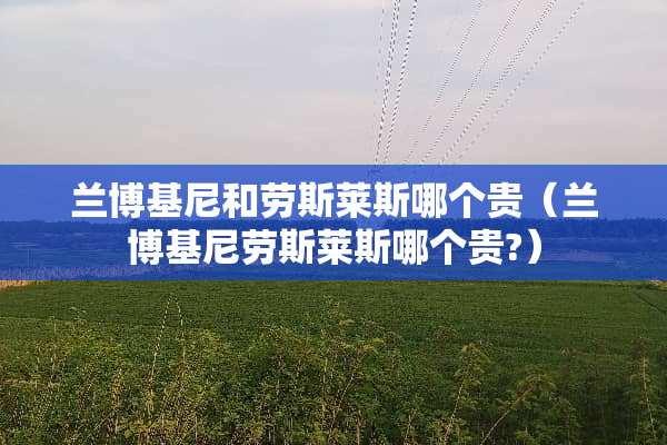 兰博基尼和劳斯莱斯哪个贵（兰博基尼劳斯莱斯哪个贵?）
