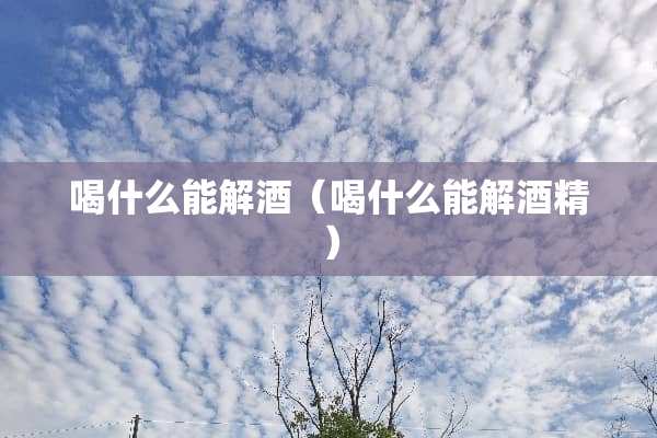 喝什么能解酒（喝什么能解酒精）