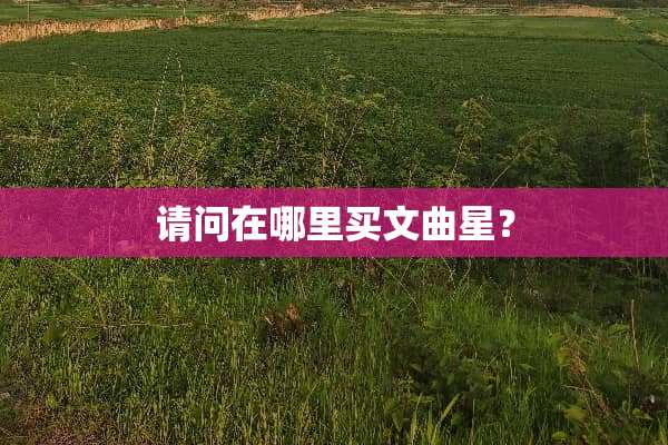 请问在哪里买文曲星？
