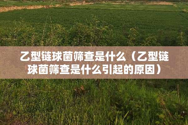 乙型链球菌筛查是什么（乙型链球菌筛查是什么引起的原因）