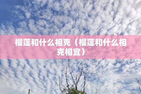 榴莲和什么相克（榴莲和什么相克相宜）