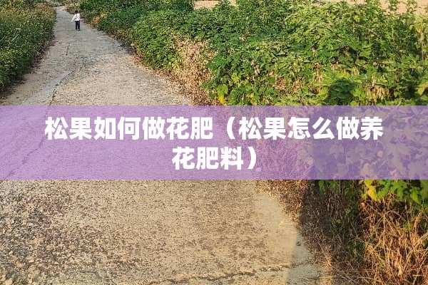 松果如何做花肥（松果怎么做养花肥料）