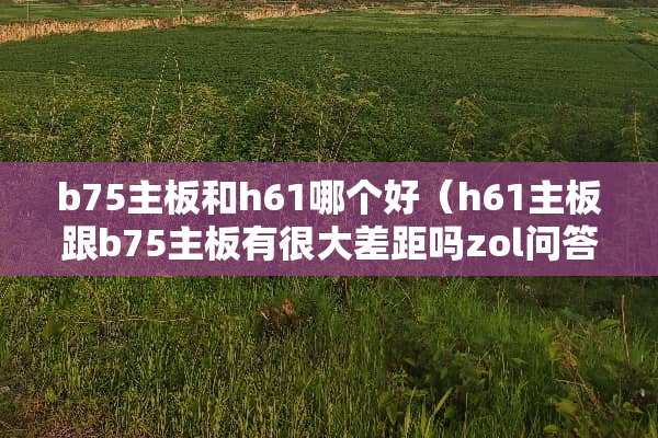 b75主板和h61哪个好（h61主板跟b75主板有很大差距吗zol问答）