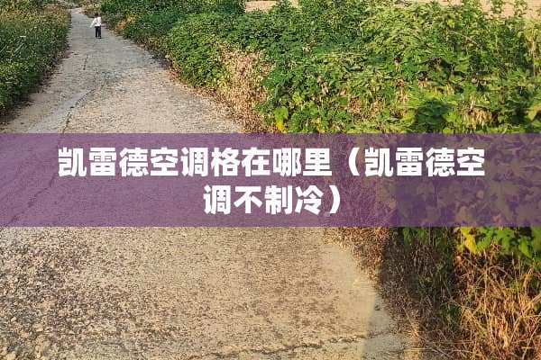 凯雷德空调格在哪里（凯雷德空调不制冷）