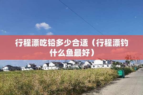 行程漂吃铅多少合适（行程漂钓什么鱼最好）