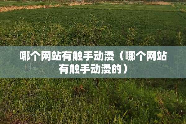 哪个网站有触手动漫（哪个网站有触手动漫的）
