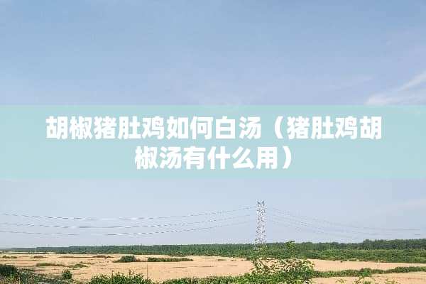 胡椒猪肚鸡如何白汤（猪肚鸡胡椒汤有什么用）