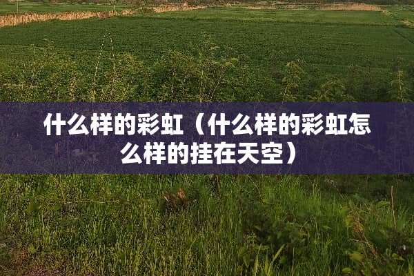 什么样的彩虹（什么样的彩虹怎么样的挂在天空）