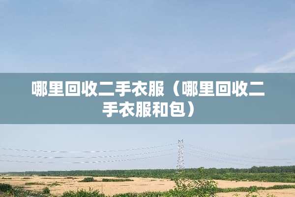 哪里回收二手衣服（哪里回收二手衣服和包）