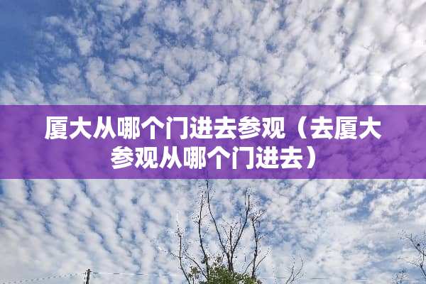 厦大从哪个门进去参观（去厦大参观从哪个门进去）