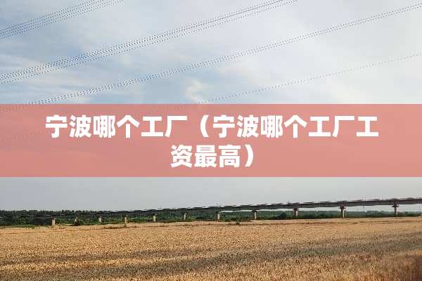 宁波哪个工厂（宁波哪个工厂工资最高）