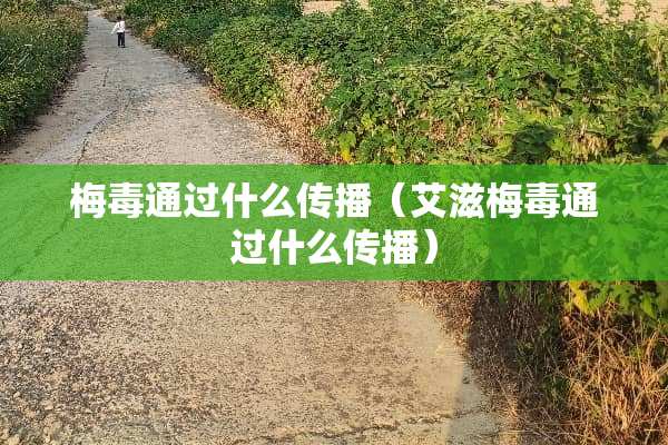 梅毒通过什么传播（艾滋梅毒通过什么传播）