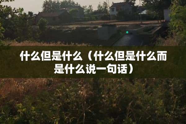 什么但是什么（什么但是什么而是什么说一句话）